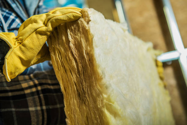 Best Cellulose Insulation in Frederick, MD