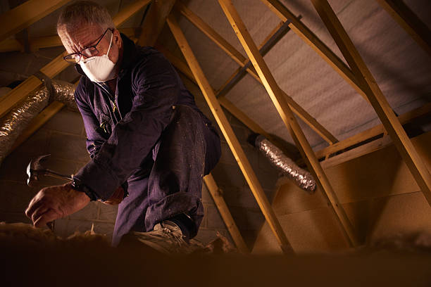 Best Eco-Friendly Insulation in Frederick, MD