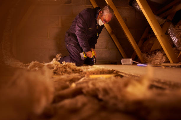 Types of Insulation We Offer in Frederick, MD